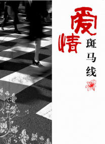 久久久99精品免费观看精品